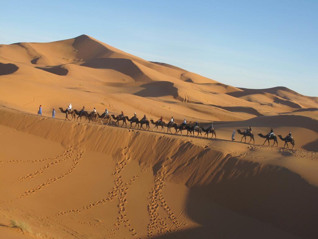 Sahara Camel Tours Camp Hotell Merzouga Rum bild