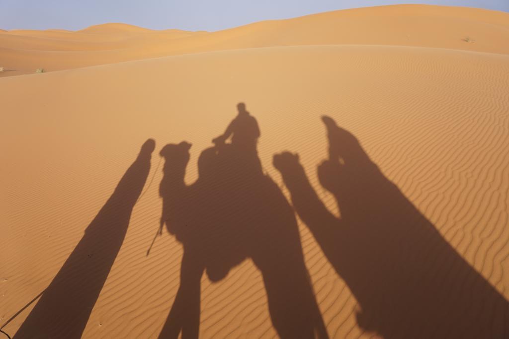 Sahara Camel Tours Camp Hotell Merzouga Rum bild