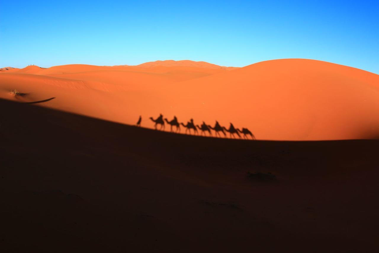 Sahara Camel Tours Camp Hotell Merzouga Exteriör bild