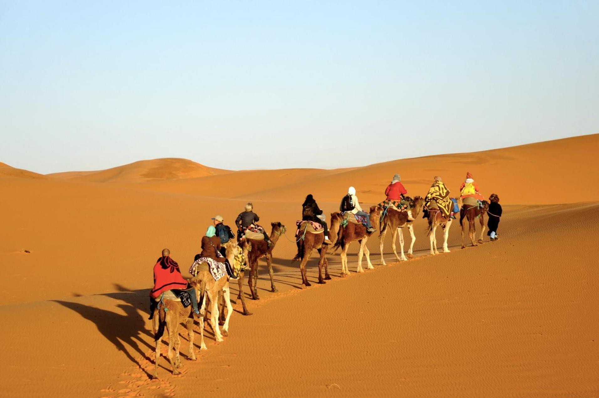 Sahara Camel Tours Camp Hotell Merzouga Exteriör bild