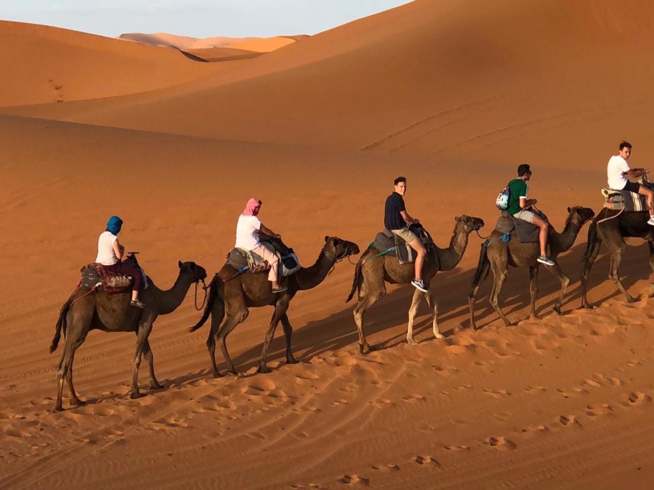 Sahara Camel Tours Camp Hotell Merzouga Exteriör bild